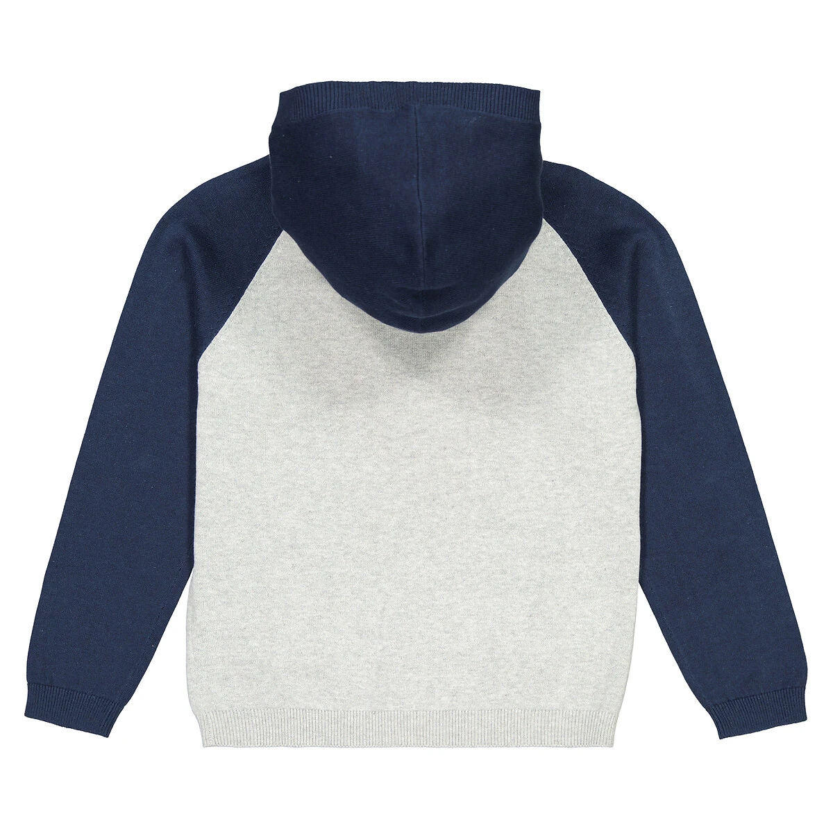 Pull à Capuche, Motif Dinosaure 4 Pull à Capuche, Motif Dinosaure – Image 4