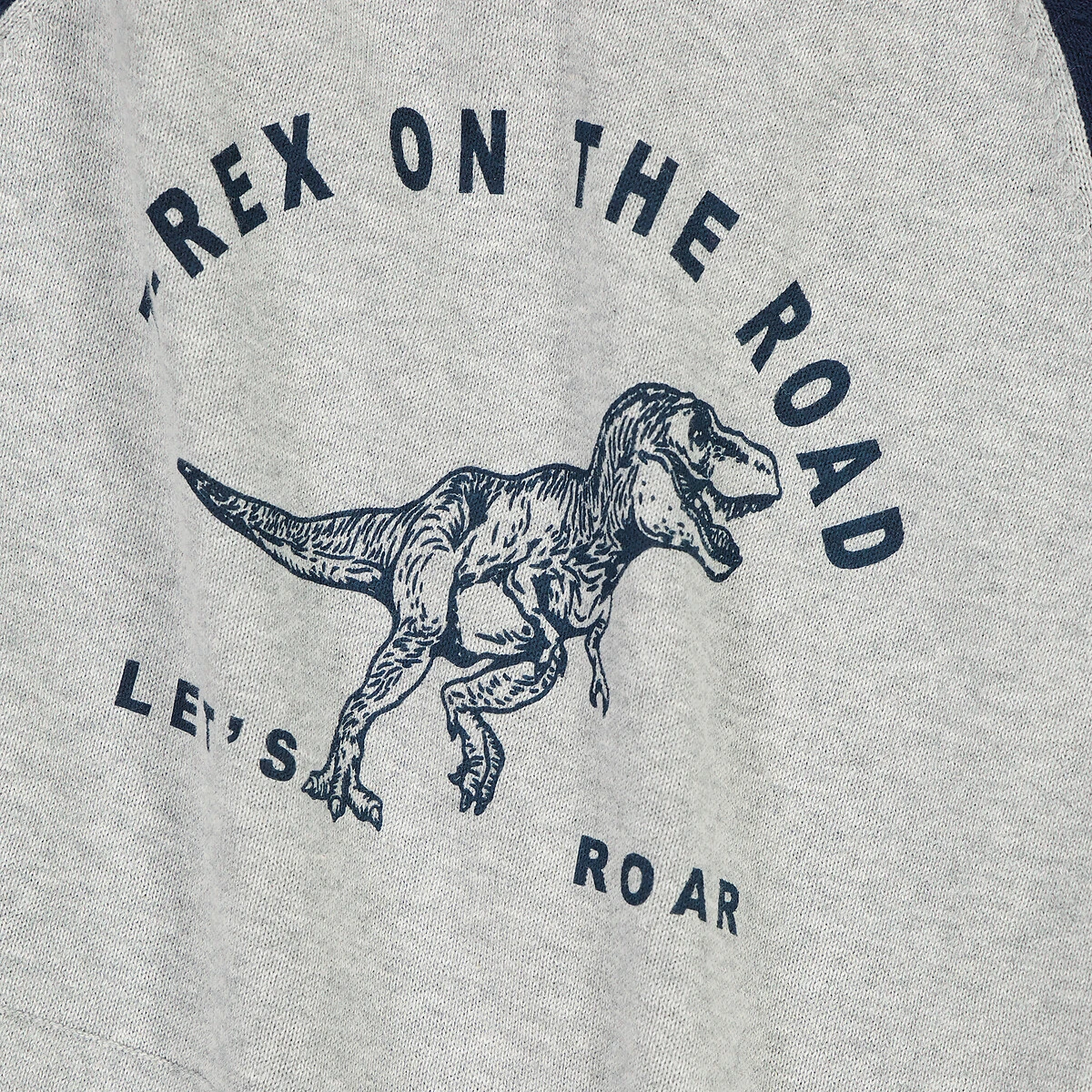 Pull à Capuche, Motif Dinosaure 5 Pull à Capuche, Motif Dinosaure – Image 5