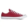 Converse Chuck Taylor All Star Seasonal Canvas Ox