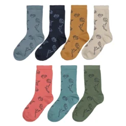 Lot De 7 Paires De Chaussettes Dinosaure