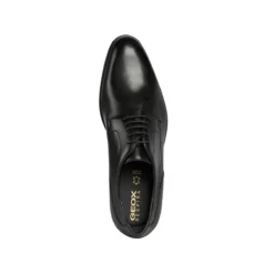 Geox Derbies En Cuir Iacopo 22 Geox Derbies En Cuir Iacopo -Mode Décontractée b08582c52041091586fb2d45a728648a