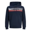 Jack & Jones Sweat à Capuche Jjalex