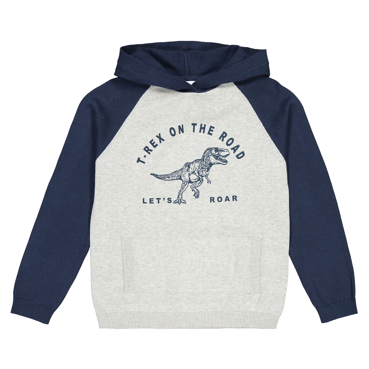 Pull à Capuche, Motif Dinosaure 3 Pull à Capuche, Motif Dinosaure – Image 3